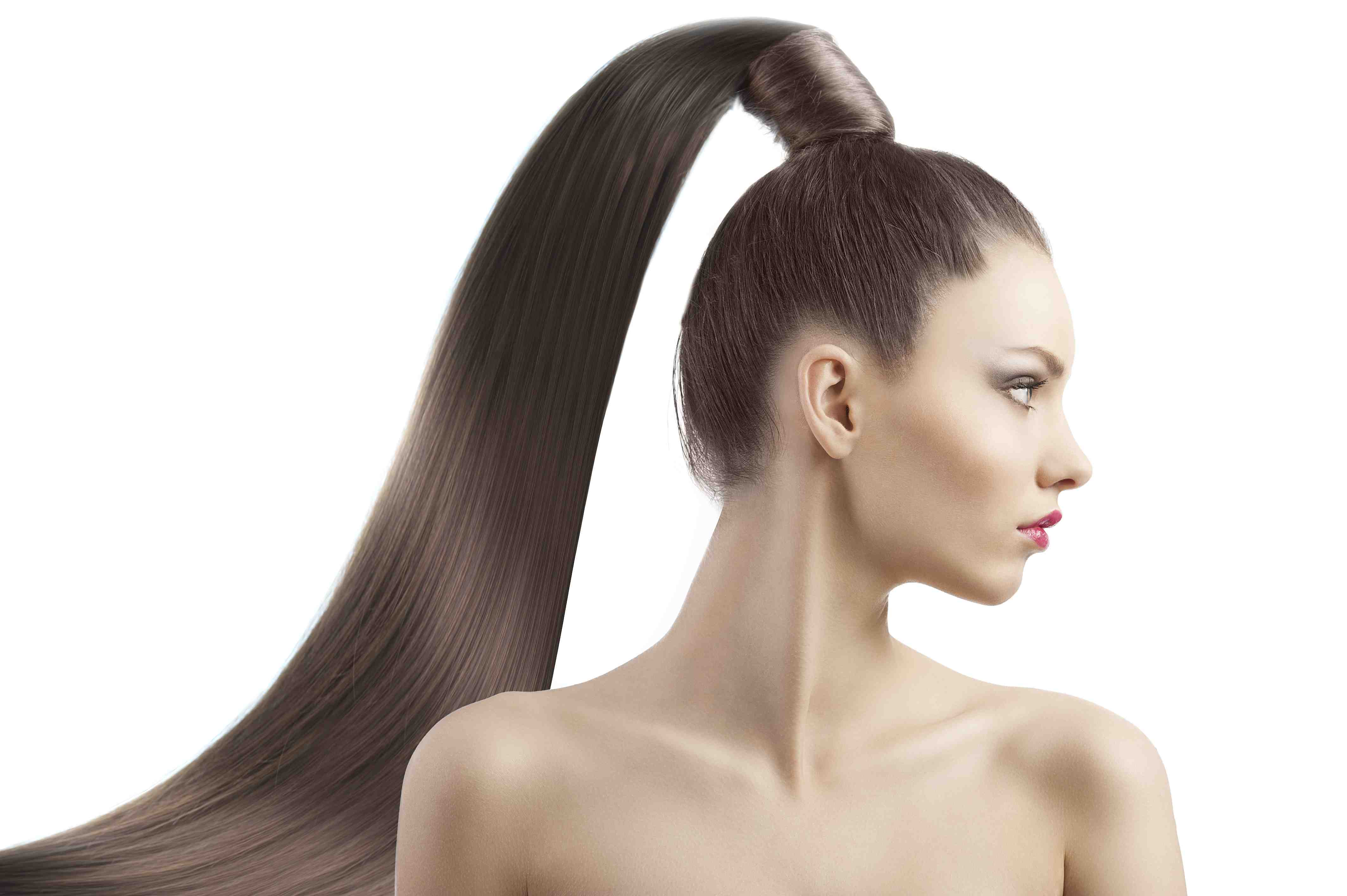 Ponytails